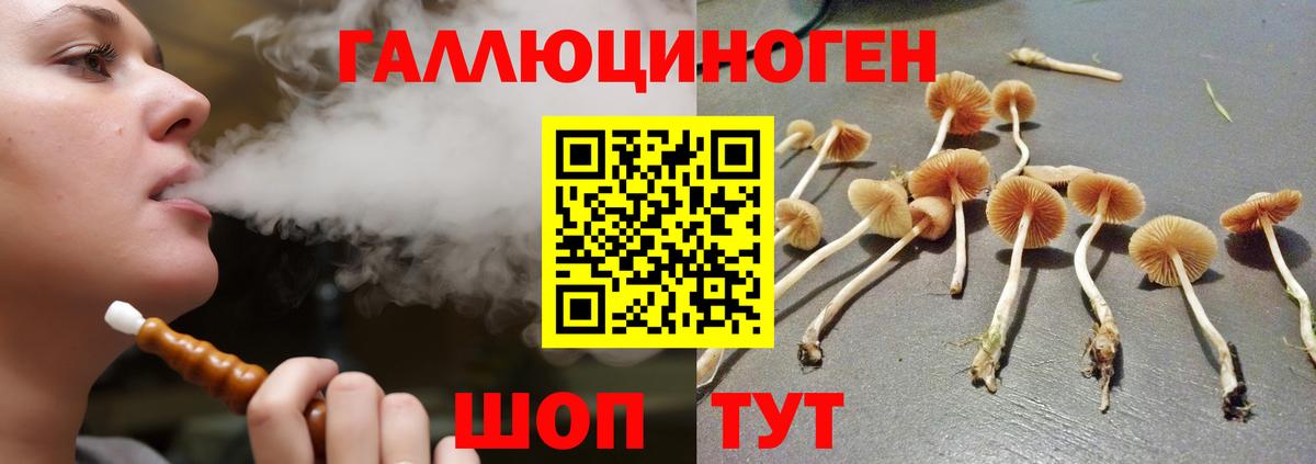 Галлюциногенные грибы Cubensis Артёмовский